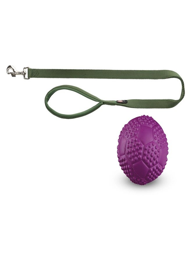 Trixie Combo of Trixie Premium Nylon Adjustable Dog Leash with Stainless Steel Hooks - M-L (20mm, Forest Color) and Sports Ball Natural Rubber Toy for Dog - Image 1